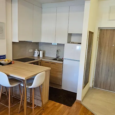 Apartament Filipovic *